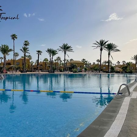 Oasi Tropical Wifi Free By Rentalfue كوراليهو المظهر الخارجي الصورة