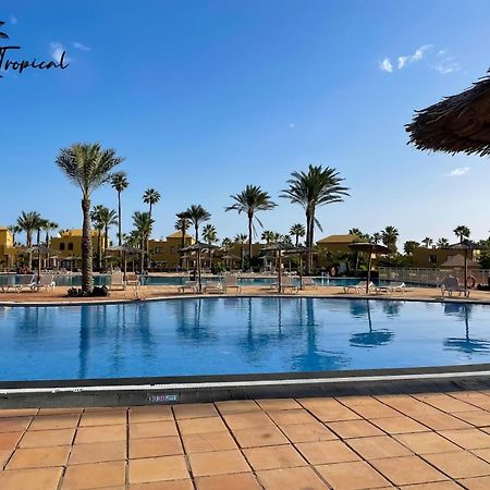 Oasi Tropical Wifi Free By Rentalfue كوراليهو المظهر الخارجي الصورة