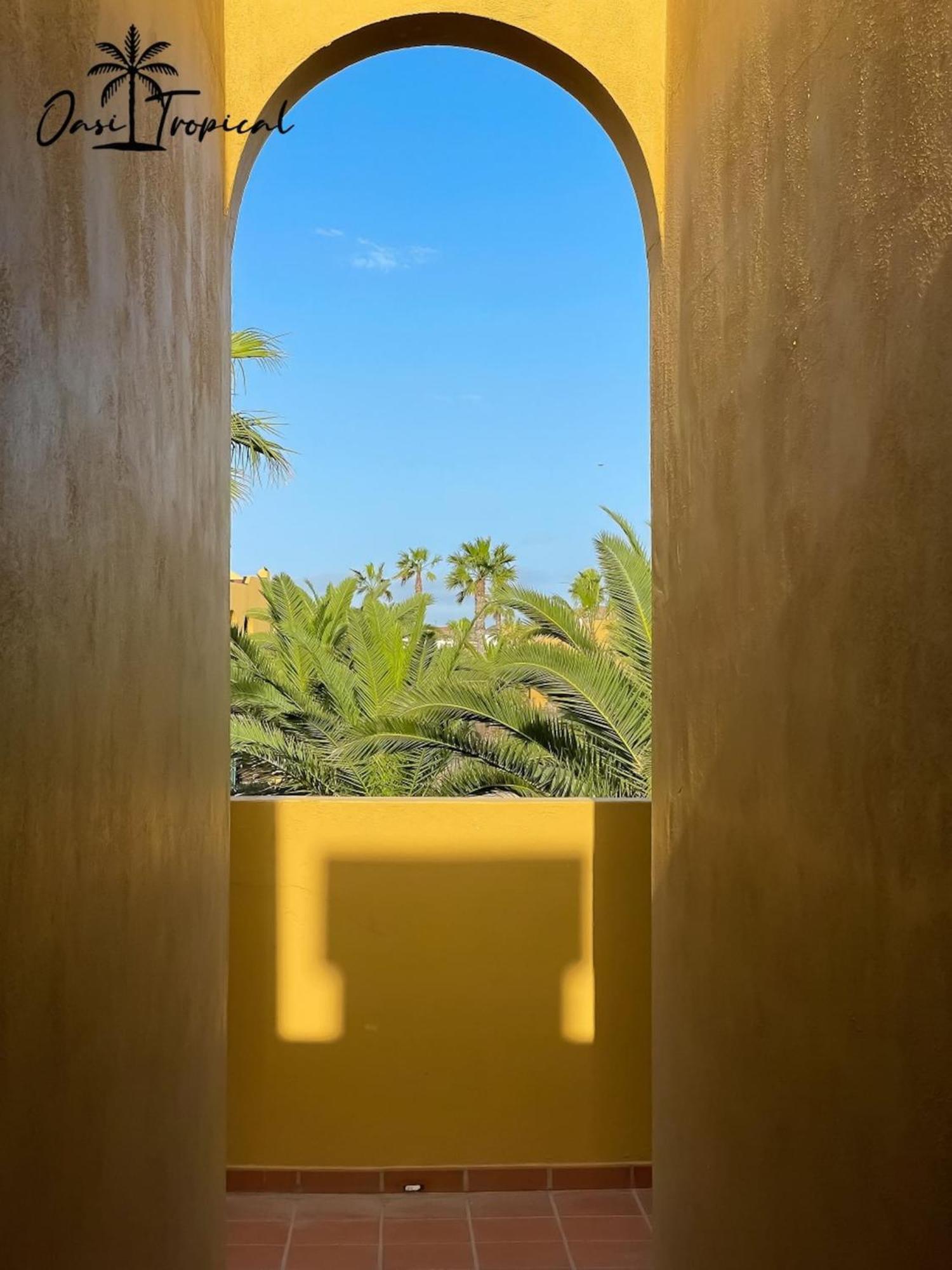 Oasi Tropical Wifi Free By Rentalfue كوراليهو المظهر الخارجي الصورة