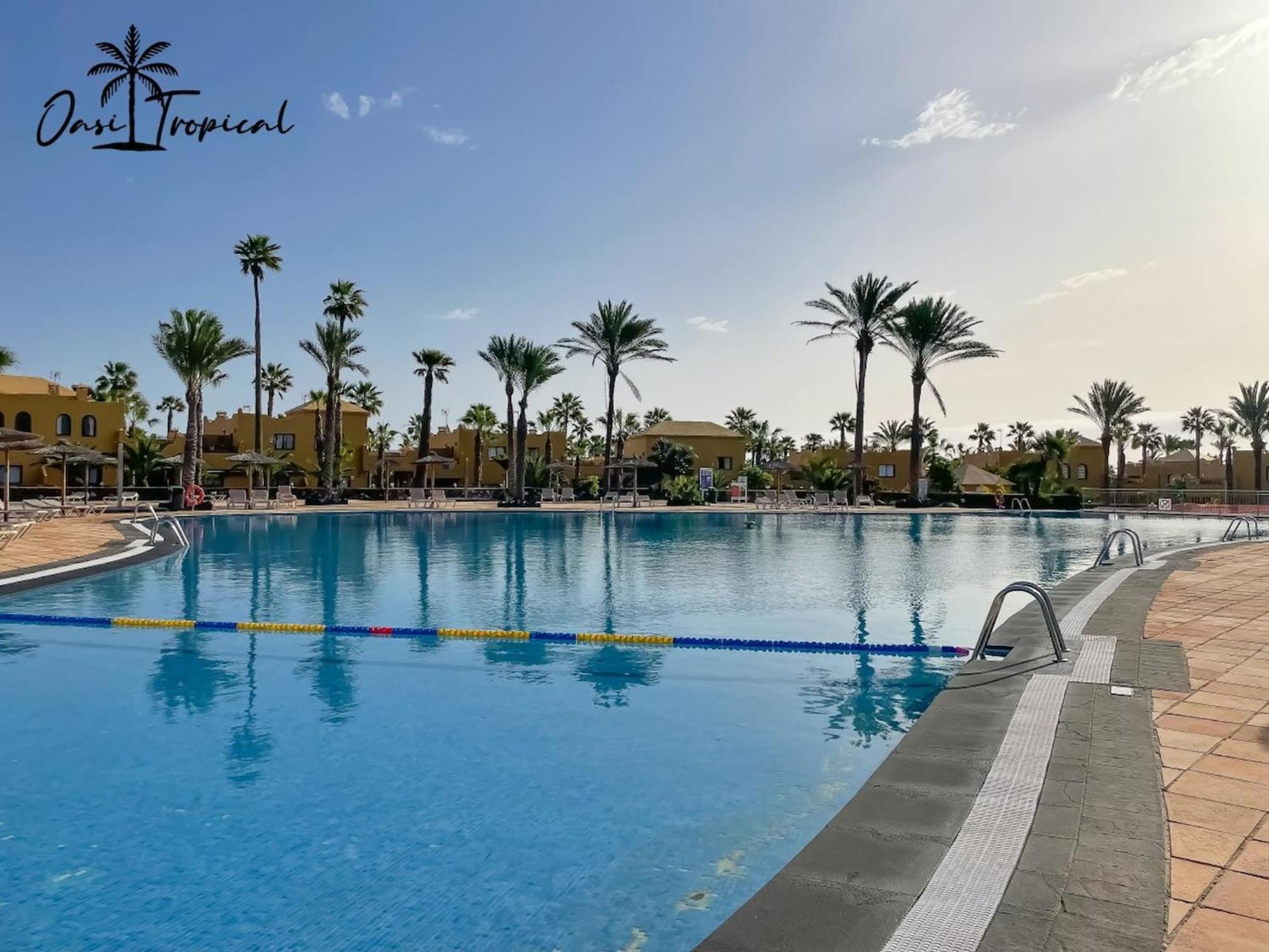 Oasi Tropical Wifi Free By Rentalfue كوراليهو المظهر الخارجي الصورة