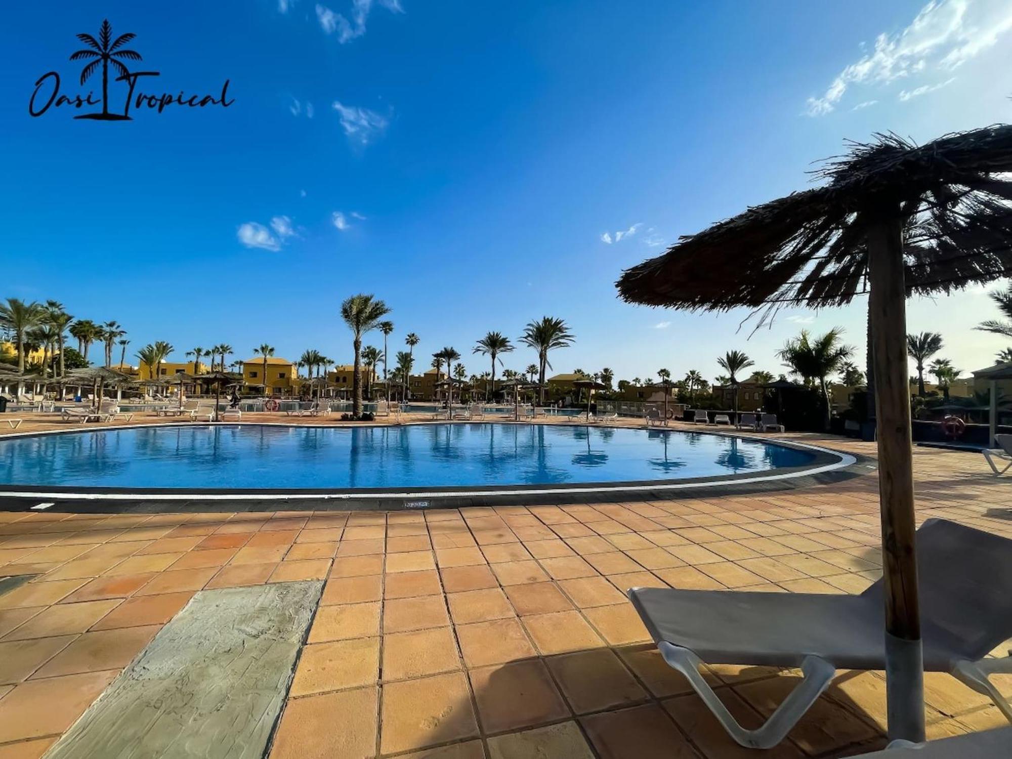 Oasi Tropical Wifi Free By Rentalfue كوراليهو المظهر الخارجي الصورة
