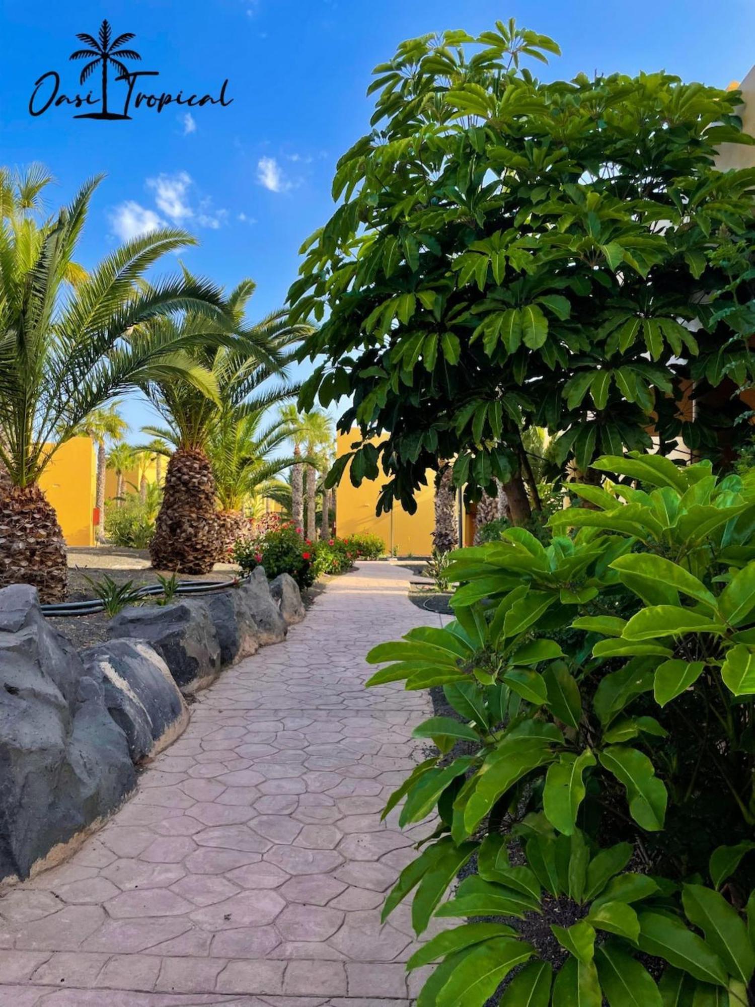 Oasi Tropical Wifi Free By Rentalfue كوراليهو المظهر الخارجي الصورة